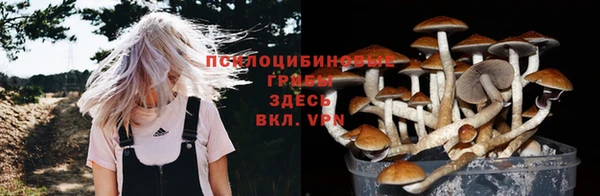 ALPHA-PVP Алексин