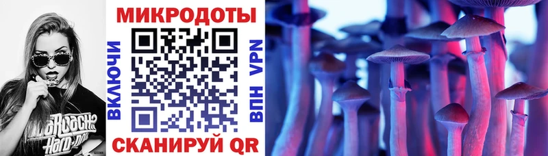 Галлюциногенные грибы мицелий  Лахденпохья 